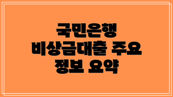 국민은행 비상금대출 주요 정보 요약