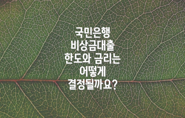국민은행 비상금대출 한도와 금리는 어떻게 결정될까요?