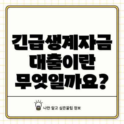 긴급생계자금 대출이란 무엇일까요?
