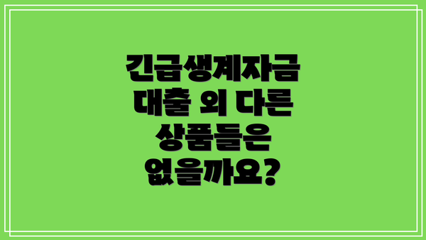 긴급생계자금 대출 외 다른 상품들은 없을까요?