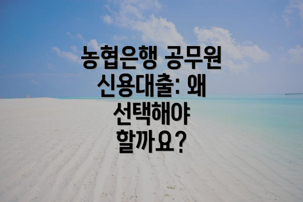 농협은행 공무원 신용대출: 왜 선택해야 할까요?