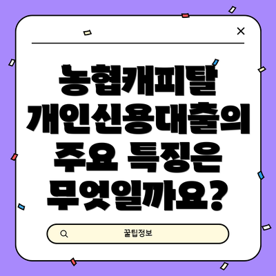 농협캐피탈 개인신용대출의 주요 특징은 무엇일까요?