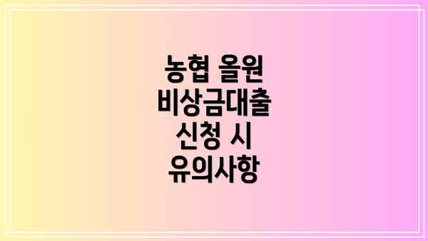 농협 올원 비상금대출  신청 시 유의사항