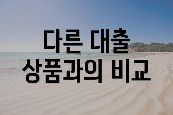다른 대출 상품과의 비교