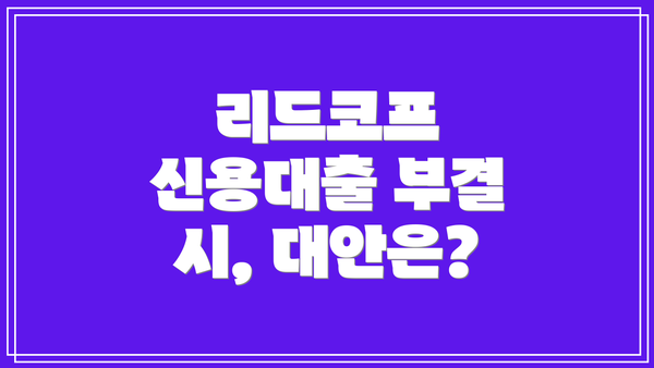 리드코프 신용대출 부결 시, 대안은?