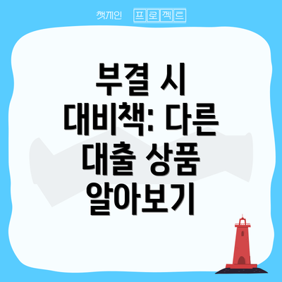 부결 시 대비책: 다른 대출 상품 알아보기