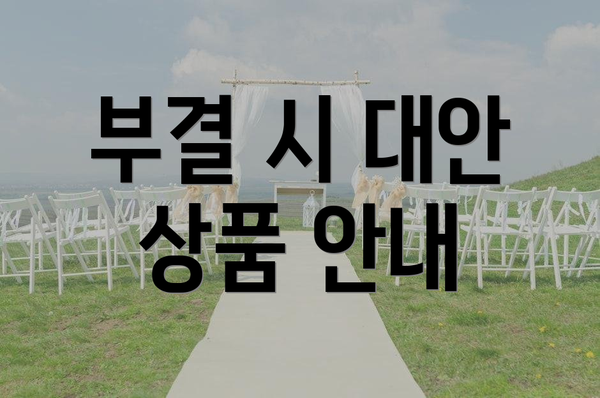 부결 시 대안 상품 안내