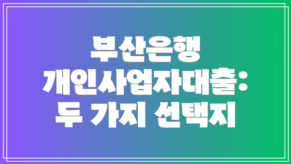부산은행 개인사업자대출: 두 가지 선택지