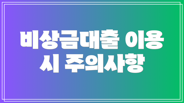 비상금대출 이용 시 주의사항