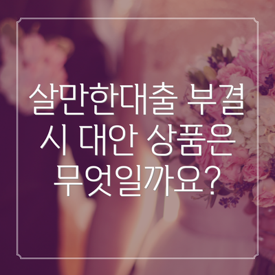 살만한대출 부결 시 대안 상품은 무엇일까요?