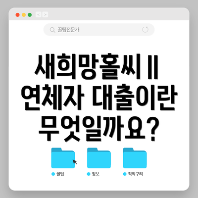 새희망홀씨Ⅱ 연체자 대출이란 무엇일까요?