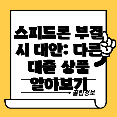 스피드론 부결 시 대안: 다른 대출 상품 알아보기