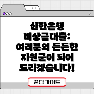 신한은행 비상금대출: 여러분의 든든한 지원군이 되어 드리겠습니다!