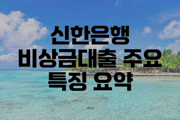 신한은행 비상금대출 주요 특징 요약