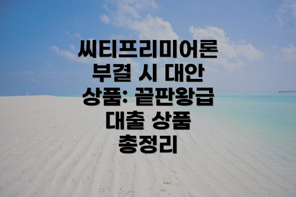 씨티프리미어론 부결 시 대안 상품: 끝판왕급 대출 상품 총정리