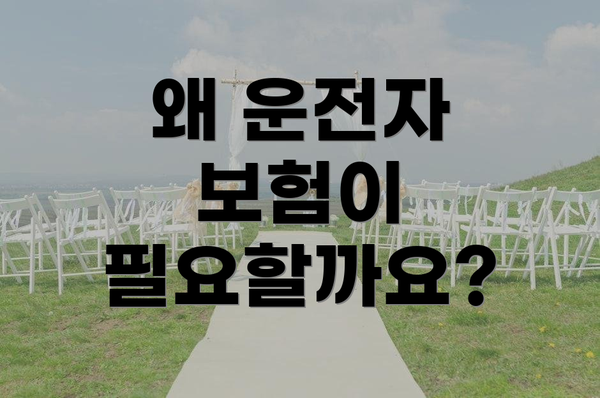 왜 운전자 보험이 필요할까요?