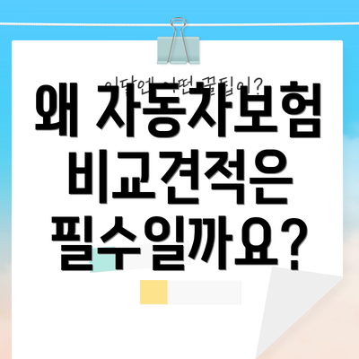 왜 자동차보험 비교견적은 필수일까요?
