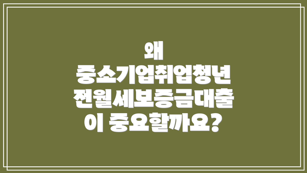 왜 중소기업취업청년 전월세보증금대출이 중요할까요?