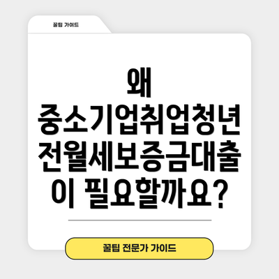 왜 중소기업취업청년 전월세보증금대출이 필요할까요?