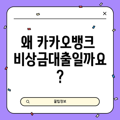 왜 카카오뱅크 비상금대출일까요?