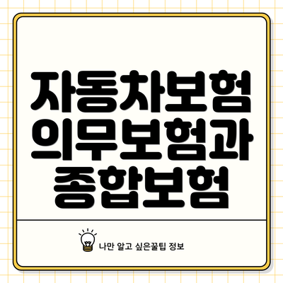 자동차보험 의무보험과 종합보험