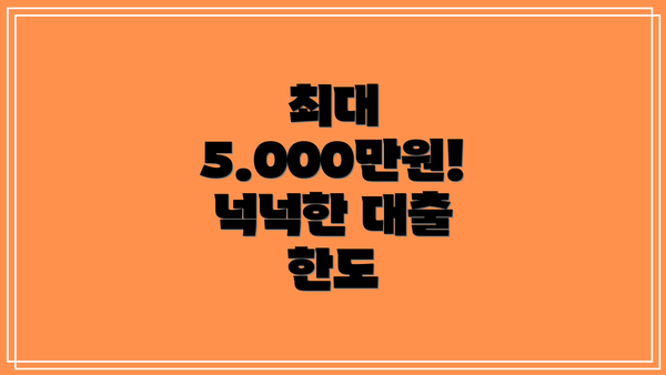 최대 5.000만원!  넉넉한 대출 한도