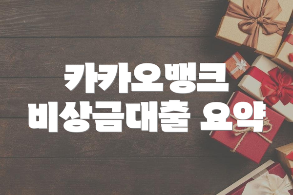 카카오뱅크 비상금대출 요약