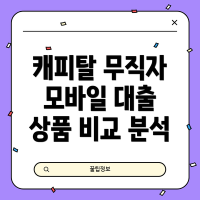 캐피탈 무직자 모바일 대출 상품 비교 분석