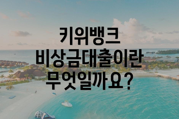 키위뱅크 비상금대출이란 무엇일까요?
