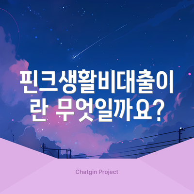 핀크생활비대출이란 무엇일까요?