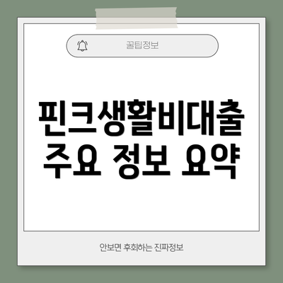 핀크생활비대출 주요 정보 요약