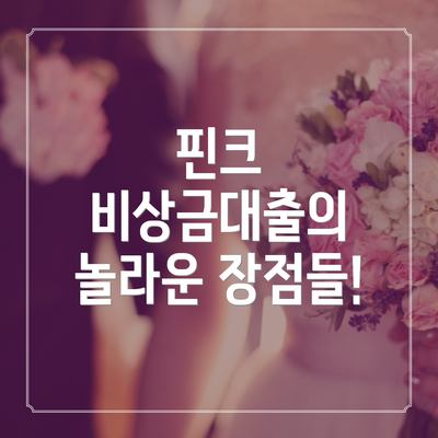 핀크 비상금대출의 놀라운 장점들!