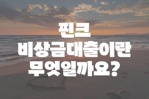 핀크 비상금대출이란 무엇일까요?