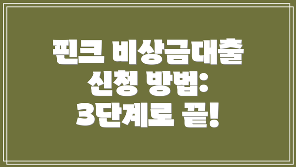 핀크 비상금대출 신청 방법: 3단계로 끝!