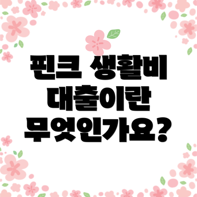 핀크 생활비 대출이란 무엇인가요?