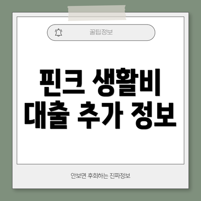 핀크 생활비 대출 추가 정보