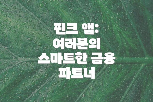 핀크 앱: 여러분의 스마트한 금융 파트너