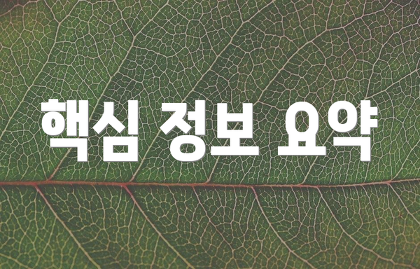 핵심 정보 요약
