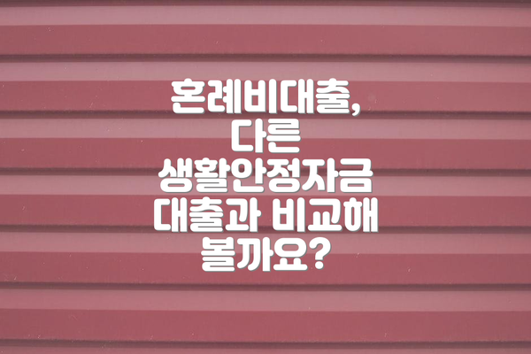 혼례비대출,  다른 생활안정자금 대출과 비교해 볼까요?