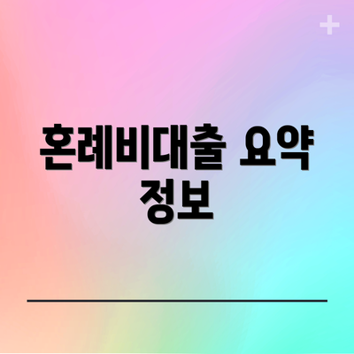 혼례비대출 요약 정보