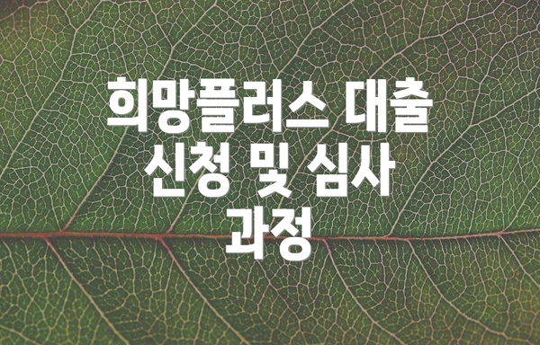 희망플러스 대출 신청 및 심사 과정
