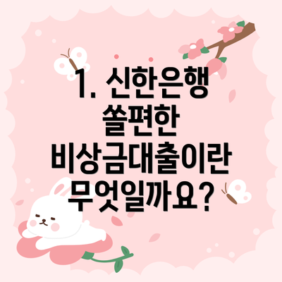 1. 신한은행 쏠편한 비상금대출이란 무엇일까요?