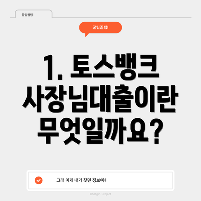 1. 토스뱅크 사장님대출이란 무엇일까요?