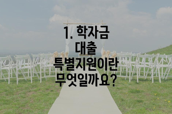 1. 학자금 대출 특별지원이란 무엇일까요?