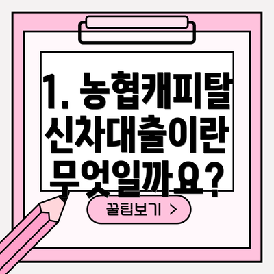 1. 농협캐피탈 신차대출이란 무엇일까요?