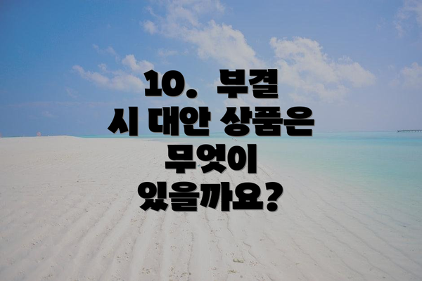10. 부결 시 대안 상품은 무엇이 있을까요?