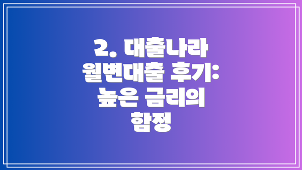 2. 대출나라 월변대출 후기: 높은 금리의 함정