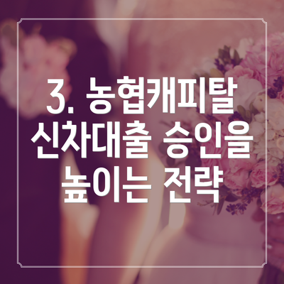 3. 농협캐피탈 신차대출 승인을 높이는 전략