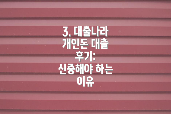 3. 대출나라 개인돈 대출 후기: 신중해야 하는 이유