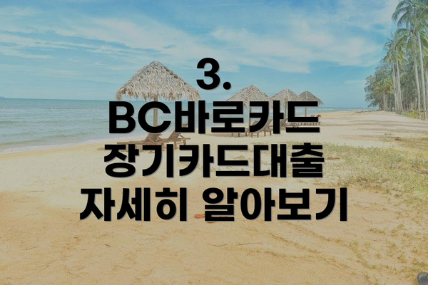 3. BC바로카드 장기카드대출 자세히 알아보기